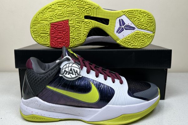 Kobe 5 Protro Chaos - Max Batch 6