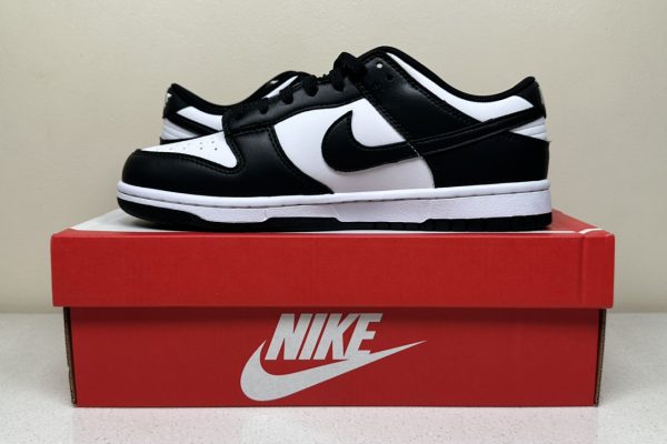 SB Dunk Panda 8